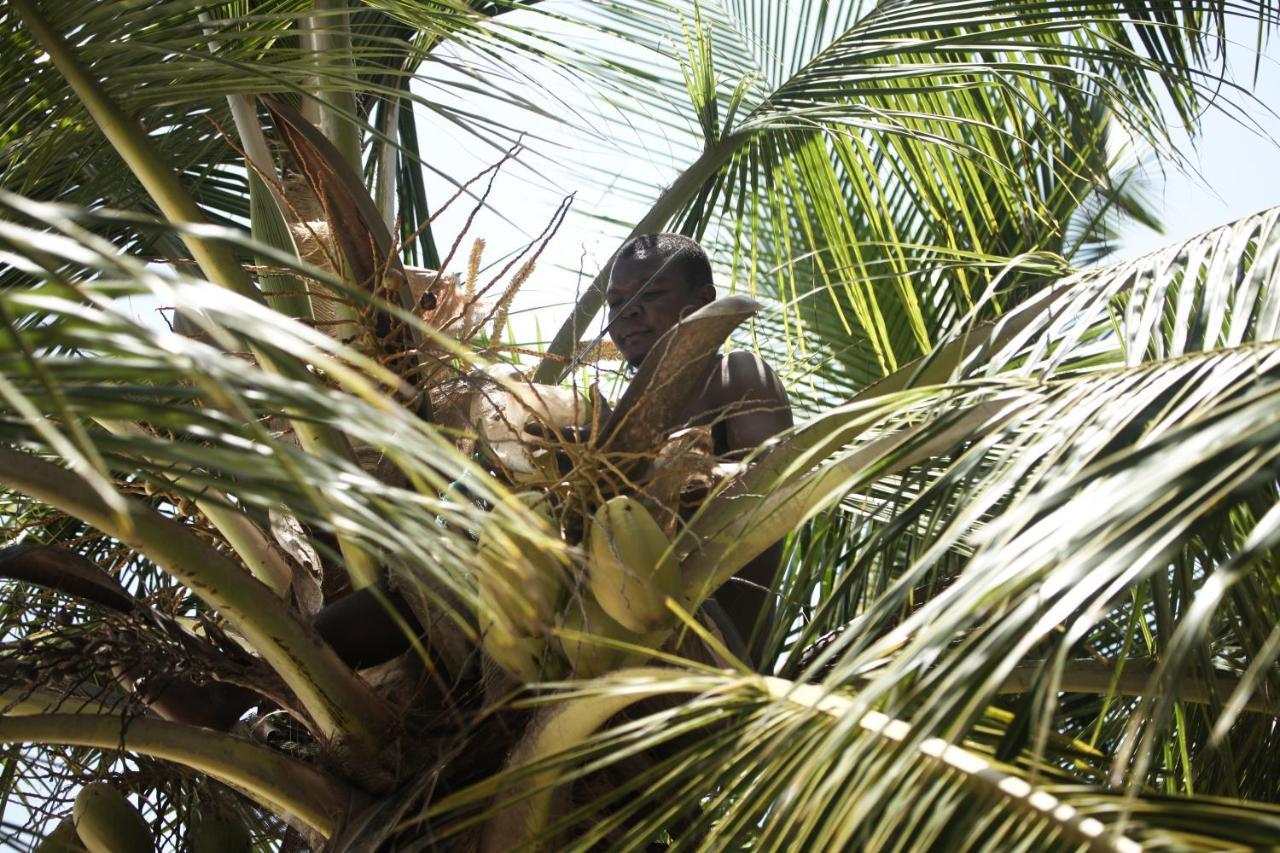 Coconut Village Beach Resort Diani Beach Buitenkant foto